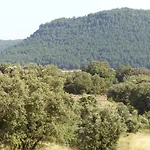 Сasa de vacaciones Molino Dolz *