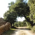 Molino Dolz