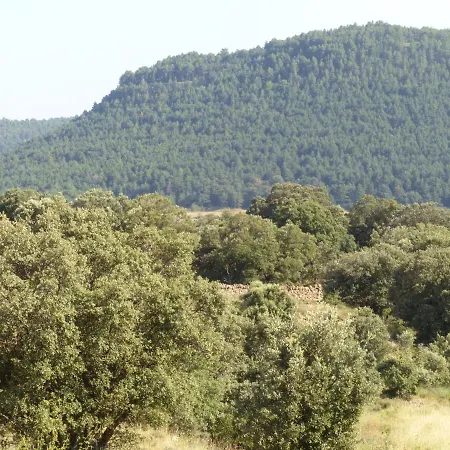 Сasa de vacaciones Molino Dolz *