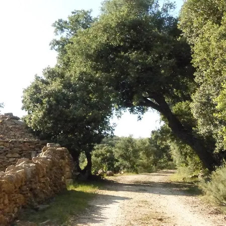 Molino Dolz
