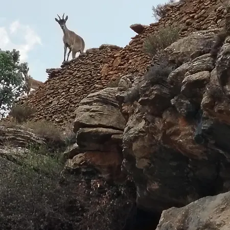 Сasa de vacaciones Molino Dolz *