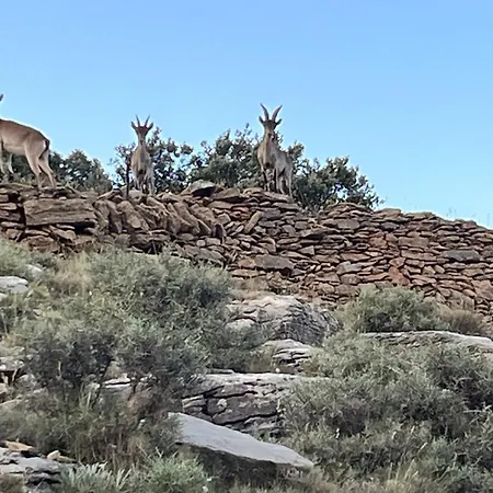 Molino Dolz Semesterbostad *