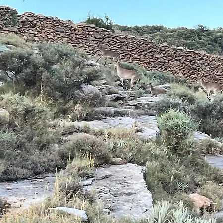 Semesterbostad Molino Dolz *