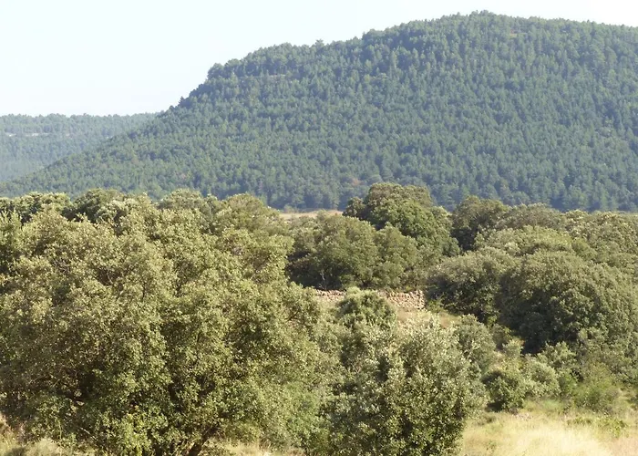 Tatil Evi Molino Dolz *