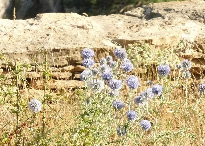 Tatil Evi Molino Dolz *