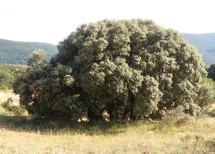 Molino Dolz Semesterbostad La Iglesuela del Cid
