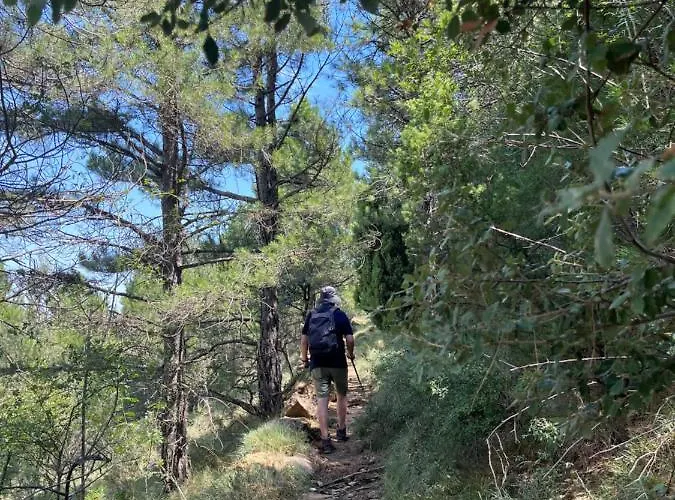 Molino Dolz Semesterbostad