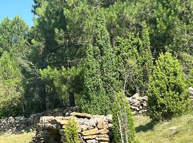 Molino Dolz Tatil Evi *