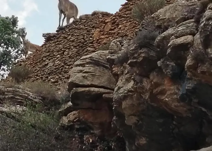 Tatil Evi Molino Dolz *