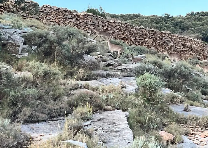 Semesterbostad Molino Dolz *